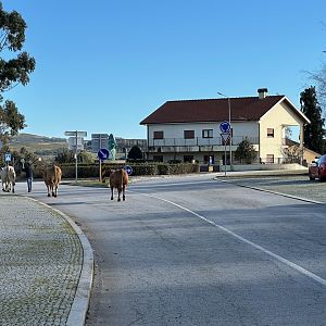 IMG_3283